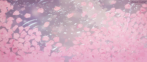curtain_img