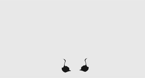 curtain_img